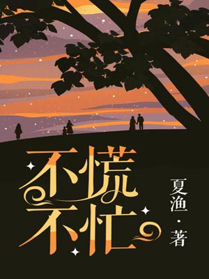 不慌不忙小說封面