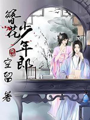 簪花少年郎小說封面