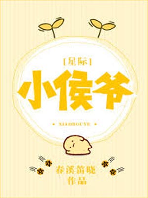 小侯爺小說封面