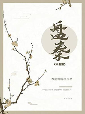盤秦小說封面