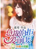 總裁的拒愛前妻小說封面