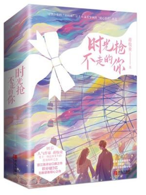 時光搶不走的你小說封面