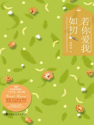 若你愛我如初小說封面