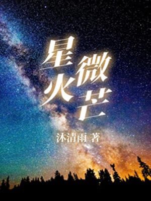 星火微芒小說封面