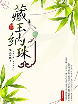 藏玉納珠小說封面