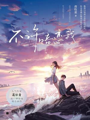 不許暗戀我小說封面