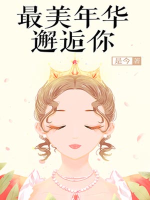 最美年華邂逅你小說封面