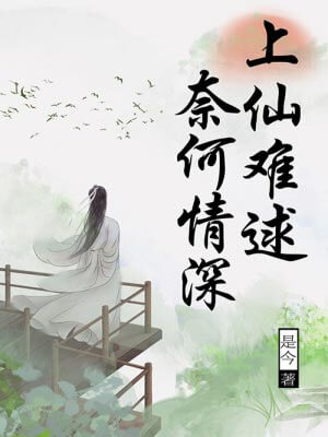 上仙難逑，奈何情深小說封面