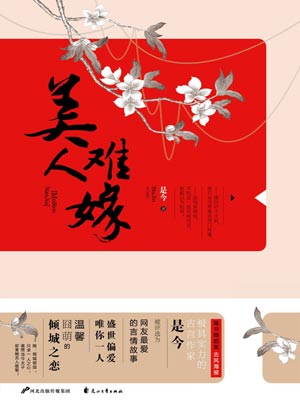 美人難嫁小說封面