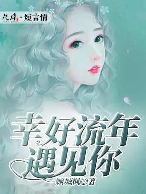 幸好流年遇見你小說封面