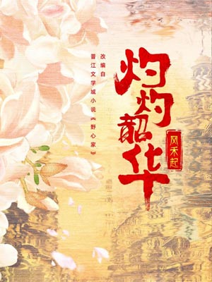 灼灼韶華風禾起（野心家）小說封面