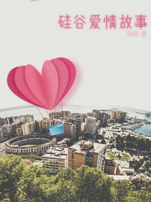 矽谷愛情故事小說封面