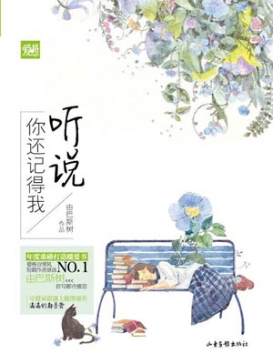 聽說你還記得我小說封面