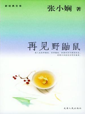 一場突如其來的愛情(再見野鼬鼠)小說封面