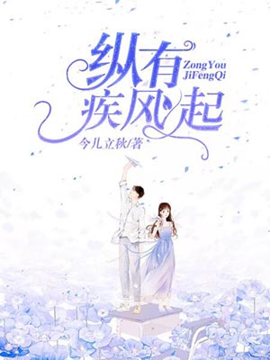 縱有疾風起小說封面