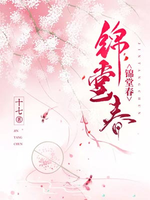 錦堂春小說封面