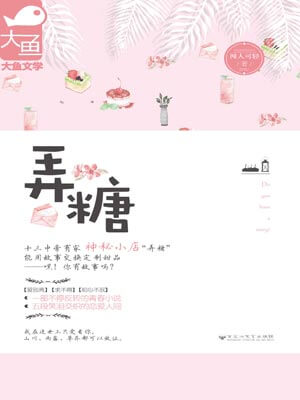 弄糖小說封面