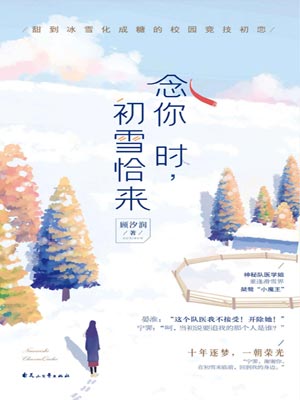 念你時，初雪恰來小說封面