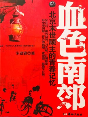 血色南郊小說封面