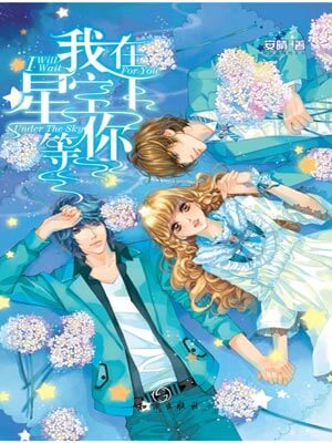 我在星空下等你小說封面