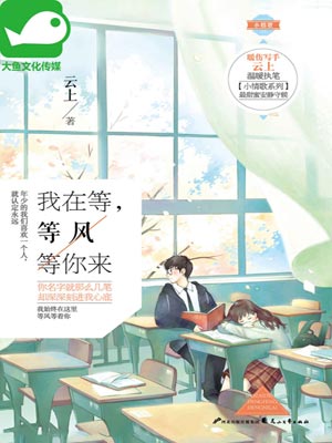 我在等,等風等你來小說封面