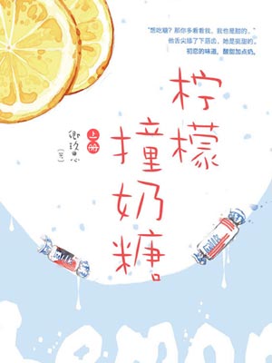 檸檬撞奶糖小說封面