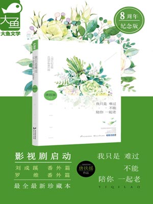 我只是難過不能陪你一起老小說封面