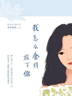 我怎麼捨得放下你小說封面