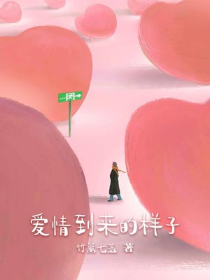 愛情到來的樣子小說封面
