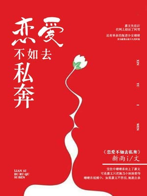 戀愛不如去私奔小說封面