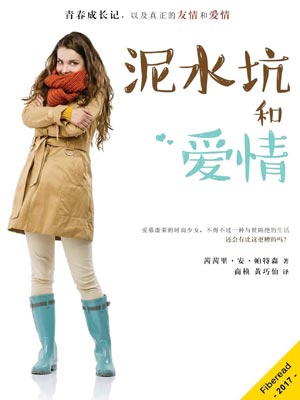 泥水坑和愛情小說封面