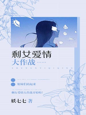 剩女愛情大作戰小說封面