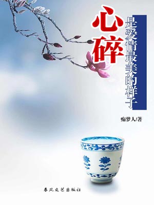 心碎是愛情最美的樣子小說封面