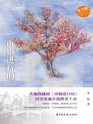 再婚進行時