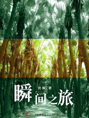 瞬間之旅小說封面