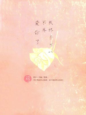 我終於可以不再愛你了小說封面