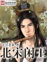 北宋閒王小說封面