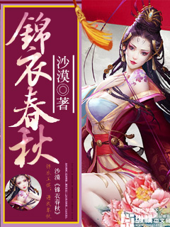 錦衣春秋小說封面