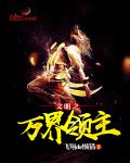 文明之萬界領主小說封面