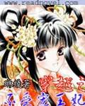 穿越之不受寵王妃小說封面