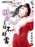 相府主母不好當小說封面