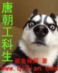 唐朝工科生小說封面