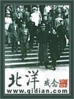 北洋小說封面