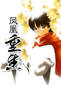 HP之鳳凰重生小說封面