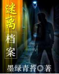迷離檔案小說封面