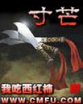 寸芒小說封面