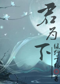 君為下小說封面