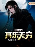 小世界其樂無窮小說封面
