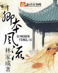 卿本風流小說封面
