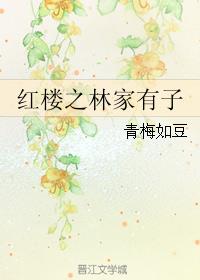紅樓之林家有子小說封面